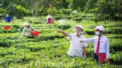 Green credit: Key driver of new growth model