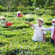 Green credit: Key driver of new growth model