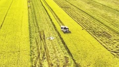 Agricultural sector on path to reducing emissions