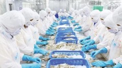 Maintaining export growth momentum