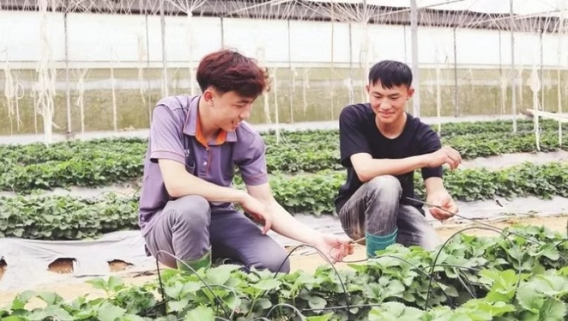 Promoting entrepreneurship through agricultural cooperatives