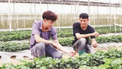 Promoting entrepreneurship through agricultural cooperatives
