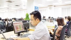 Sustainable development of stock market