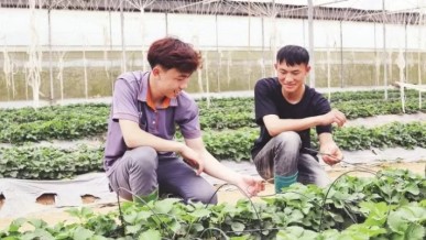 Promoting entrepreneurship through agricultural cooperatives