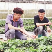 Promoting entrepreneurship through agricultural cooperatives