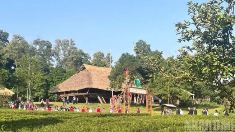 Linkages between institutions and resources in cultural development