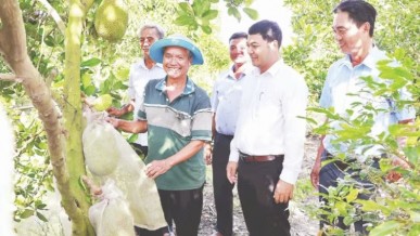 Dong Thap supports farmers in moving towards modern, professional farming