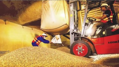 Exports align with green consumption trends