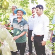 Dong Thap supports farmers in moving towards modern, professional farming