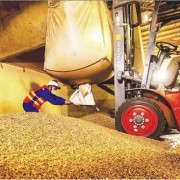 Exports align with green consumption trends