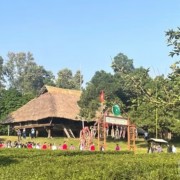 Linkages between institutions and resources in cultural development