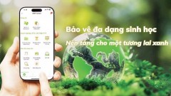 Building data foundations to drive green and sustainable agriculture