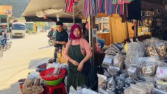 Digital payments, a strategic “piece” in tourism development