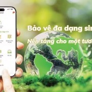 Building data foundations to drive green and sustainable agriculture