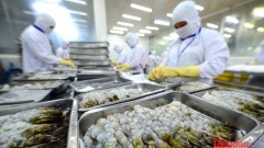 From “Yellow card” to “Green card”: An opportunity to reposition the fisheries sector