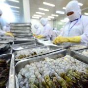 From “Yellow card” to “Green card”: An opportunity to reposition the fisheries sector