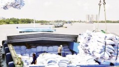 Measures to expand rice consumption markets