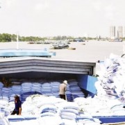 Measures to expand rice consumption markets