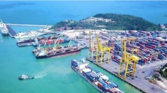 Positioning leading role of state economy