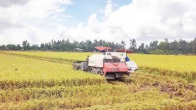 Curbing decline in export prices of agricultural products