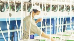 Bottlenecks from technology to application