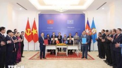 Senior Party official’s official visit strengthens political trust and fosters substantive, effective cooperation