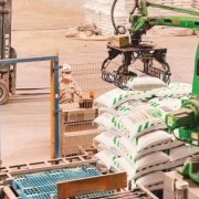 Businesses strive for double-digit growth