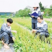 Harnessing strengths of medicinal materials in people’s healthcare