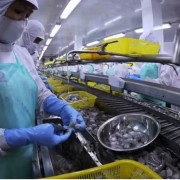 Domestic economy overcomes challenges, maintains relatively stable growth in first quarter