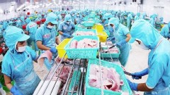 Viet Nam’s exports: new engine for sustainable growth