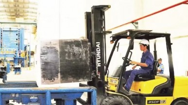 Businesses adapt to sustain growth momentum