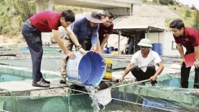 Capital leverage helps restore production