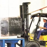 Businesses adapt to sustain growth momentum