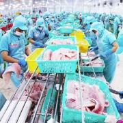 Viet Nam’s exports: new engine for sustainable growth