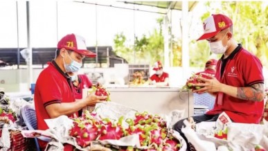 Adaptation needed to boost exports to the Halal market