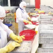 Efforts to maintain key agricultural markets