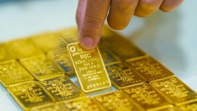How gold allocation should be done in a portfolio