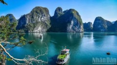 Shaping long-term growth drivers for tourism sector