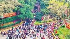 Like one rooted tree, like one family