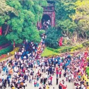 Like one rooted tree, like one family