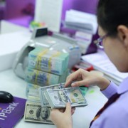 USD/VND in 2026 may increase less than in 2025