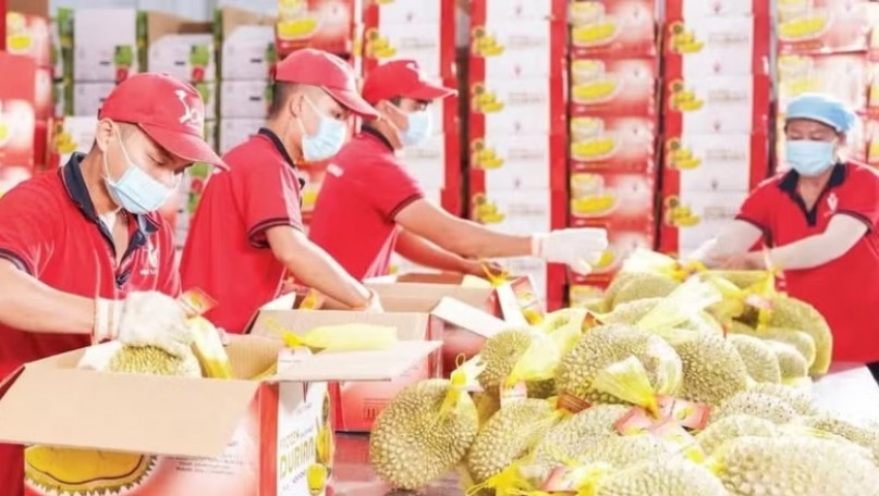 Agricultural breakthrough through digital transformation: Building digital data infrastructure