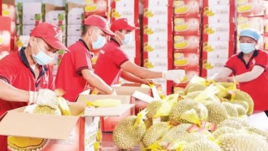 Agricultural breakthrough through digital transformation: Building digital data infrastructure