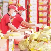 Agricultural breakthrough through digital transformation: Building digital data infrastructure