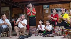 The role of cultural transmission