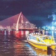 Maximising effectiveness of transportation pillar in “river city”