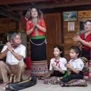 The role of cultural transmission