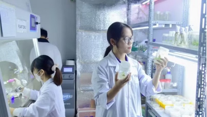 Reforming research funding mechanisms: Using results as the benchmark