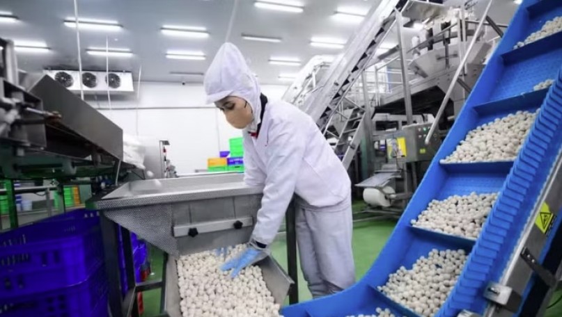 Solving capital bottlenecks to help businesses expand globally