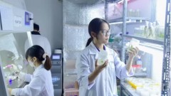 Reforming research funding mechanisms: Using results as the benchmark